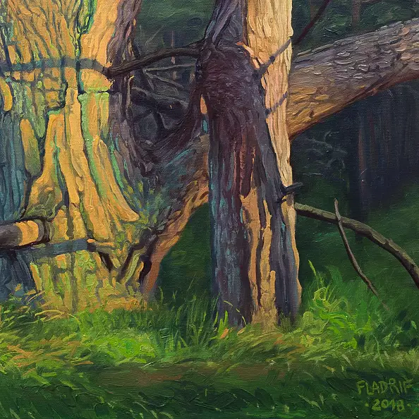 Wojciech Pater - Dzikie Drzewa IV - Bałtyk I