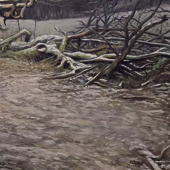 Wojciech Pater - Wild Trees I - Bystrzyckie Mountains I