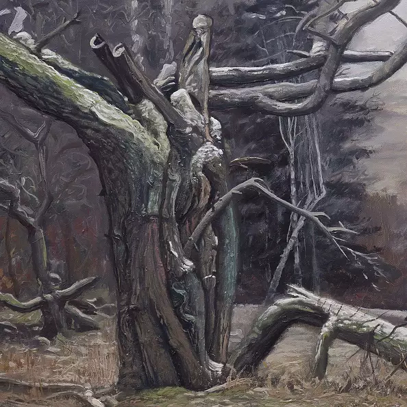 Wojciech Pater - Wild Trees I - Bystrzyckie Mountains I