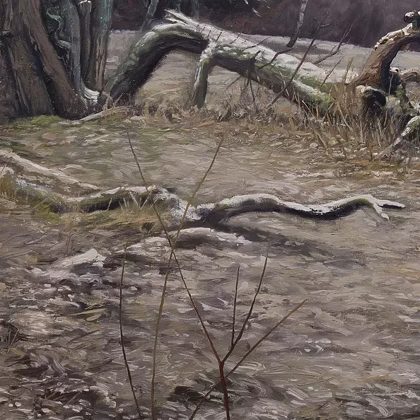 Wojciech Pater - Wild Trees I - Bystrzyckie Mountains I