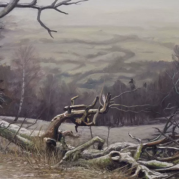 Wojciech Pater - Wild Trees I - Bystrzyckie Mountains I