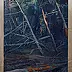 Wojciech Pater - Dzikie Drzewa VI - Bałtyk III