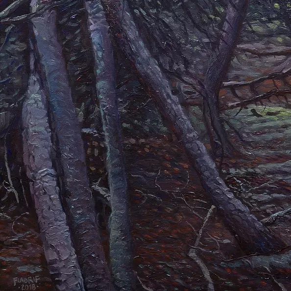 Wojciech Pater - Wild Trees V - Baltic II