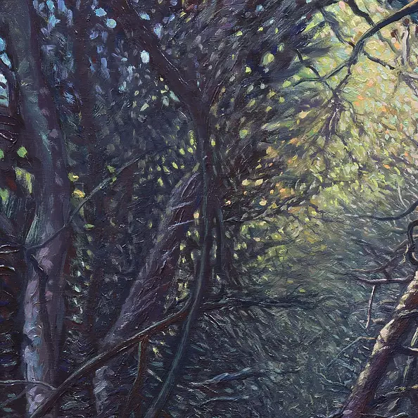 Wojciech Pater - Wild Trees V - Baltic II