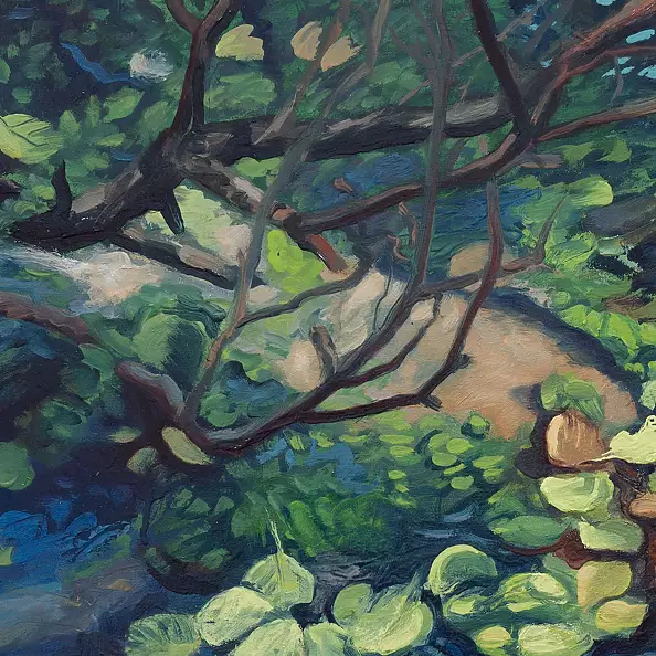 Wojciech Pater - Wild Places II - The Nameless River