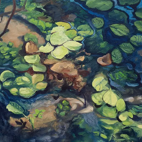 Wojciech Pater - Wild Places II - The Nameless River