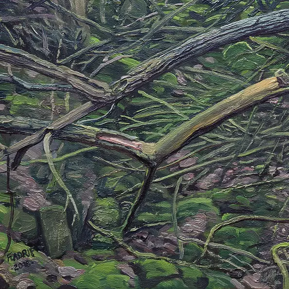 Wojciech Pater - Wild Places I