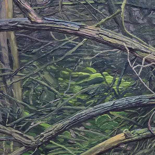 Wojciech Pater - Wild Places I