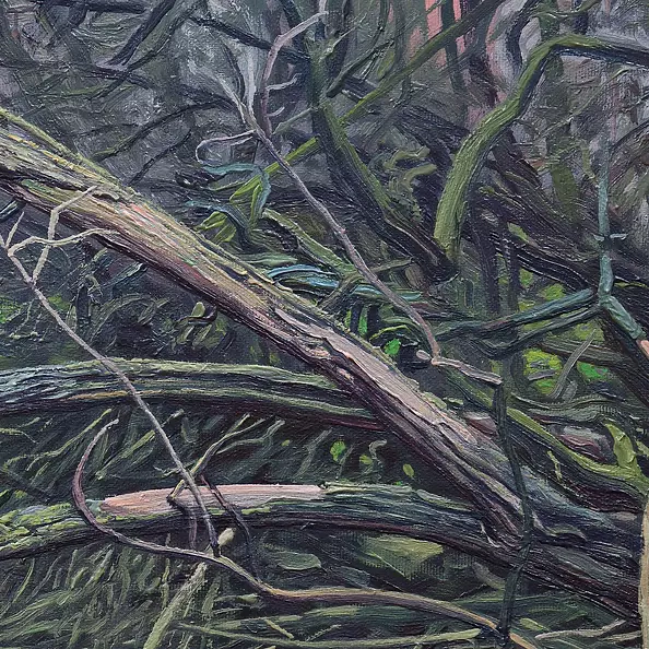 Wojciech Pater - Wild Places I