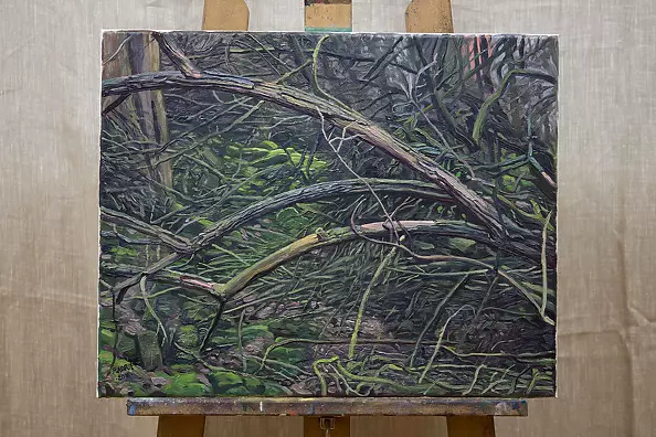 Wojciech Pater - Wild Places I