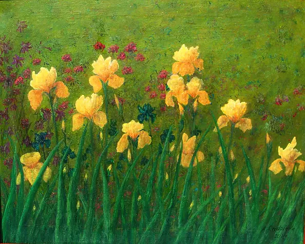 Antonina Radzięda - Wild irises