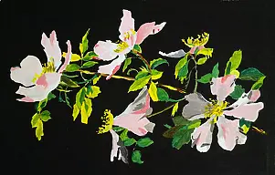 Ewa Słodzińska - Rose selvatiche 2, acrilico 32,5 / 50 cm su carta