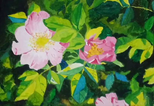 Ewa Słodzińska - Wild roses, 25/35 cm acrylic