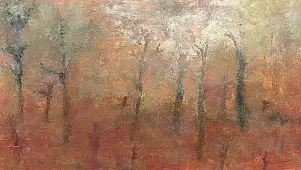 Kamil Jerzyk - strange forest