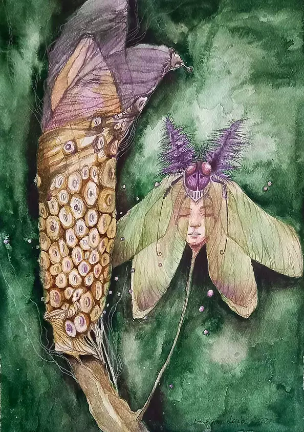 Adriana Laube - "Jungle"