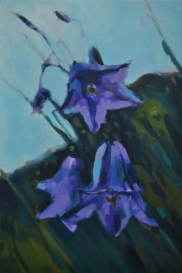 Magda Florczyk - Dzwonki niebieskie