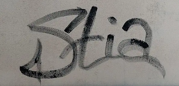 Anastasiia Kurkova - Beffroi