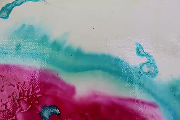 Rachel McCullock - Early Blossom