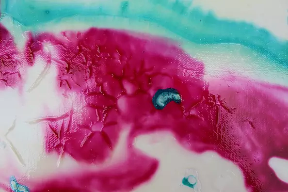 Rachel McCullock - Early Blossom