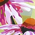 Maga Fabler - Echinacea