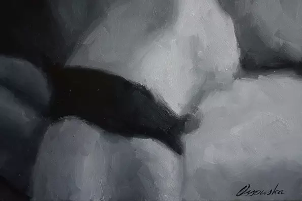 Kamila Ossowska - Echo