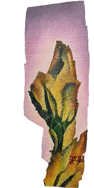 Rafał Jarosz - Display Tulips