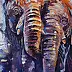 Zofia Wawrzynowicz - Elephants