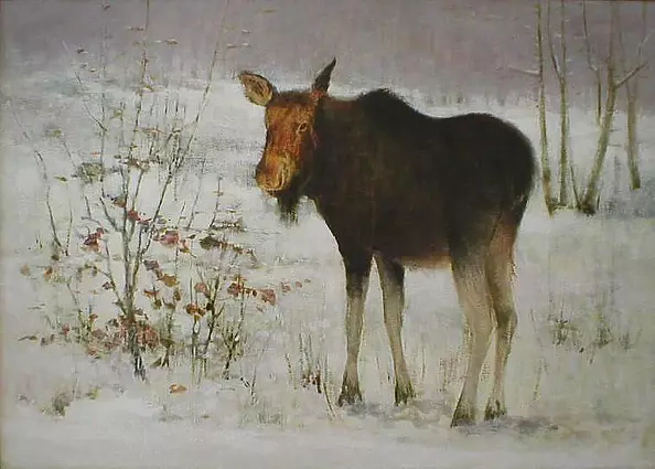 Tadeusz Gazda - Łoś