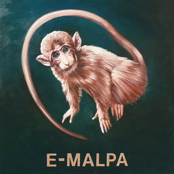 Andrzej Zujewicz - E-monkey