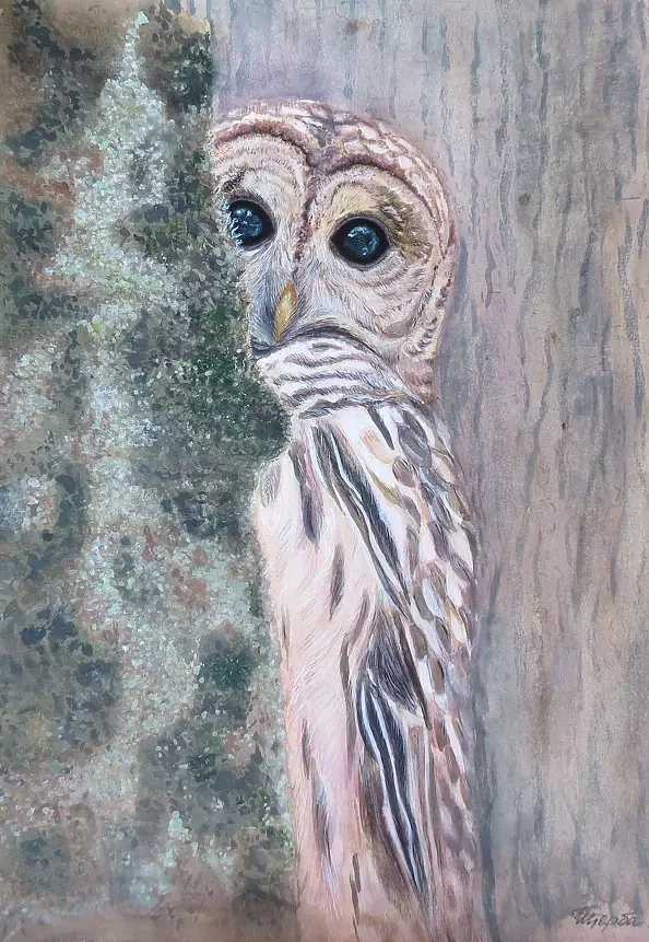 Tetyana Shcherba - Enchanting 