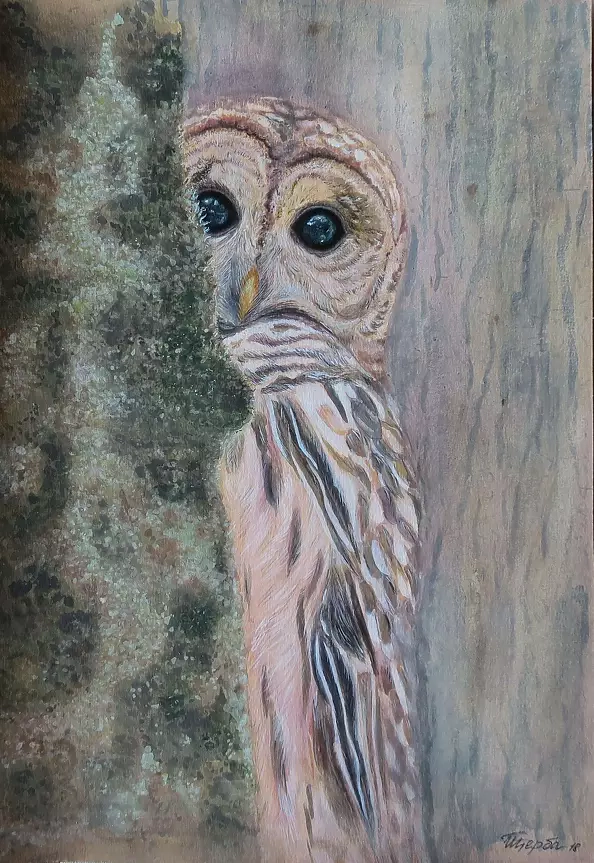 Tetyana Shcherba - Enchanting 