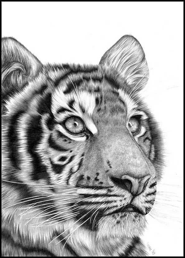 Małgorzata Kwiatkowska - Enigmatic Soul