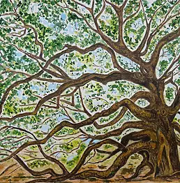 Tetyana Shcherba - Entangled