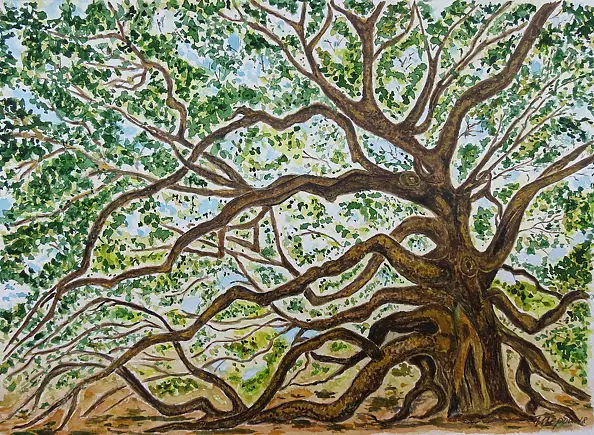 Tetyana Shcherba - Entangled