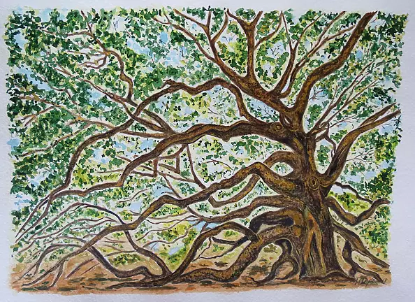 Tetyana Shcherba - Entangled