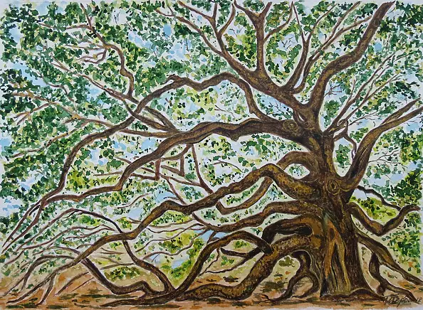 Tetyana Shcherba - Entangled