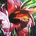 Katarzyna Korytkowska - concentration Hibiscus