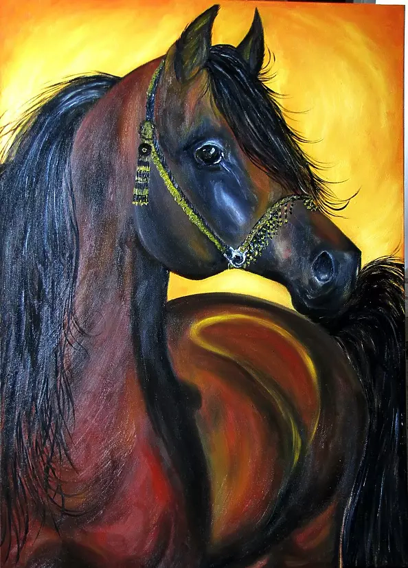 Magdalena Iwanowska - Esturion - arab stallion