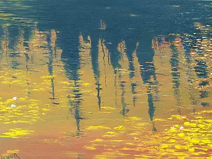   - Evening at the pond