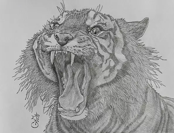 Grzegorz Mioduszewski - Eye of the Tiger