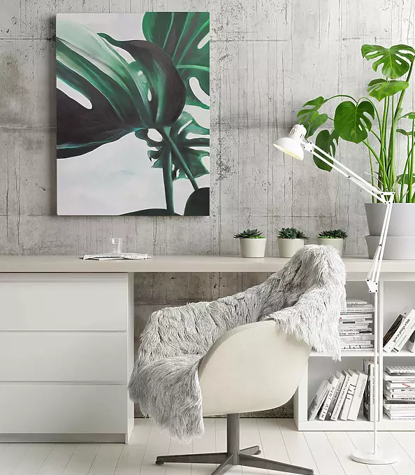 Zbigniew Czarnecki - FILODENDRON