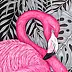 EWA KRUKOWSKA - FLAMINGO