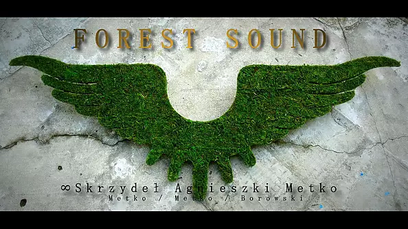 Agnieszka Metko - FOREST SOUND - "Infinity of Agnieszka Metko's Wings"