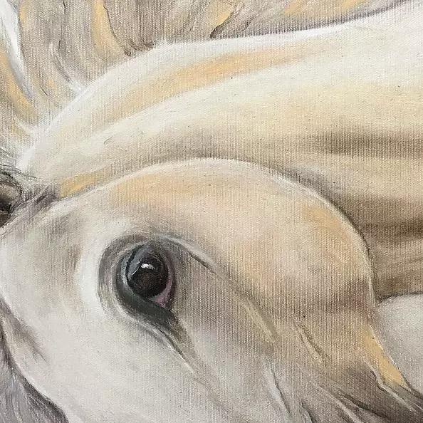 Anna Laurson - Fairy tail