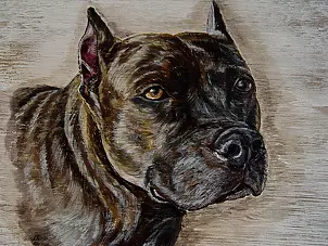 Katarzyna Niemczak - Wierny przyjaciel