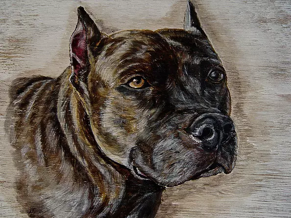 Katarzyna Niemczak - Wierny przyjaciel