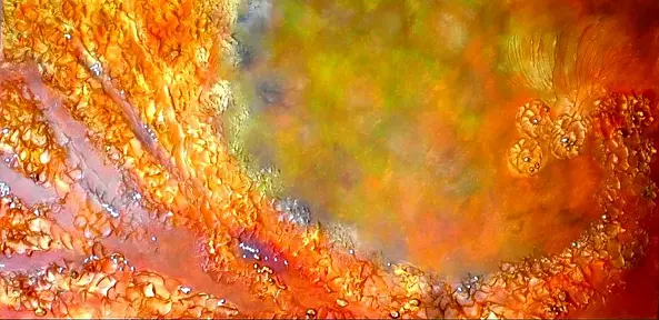 Anna Pietrzyk - Fala  pereł i bursztynów