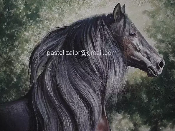 Robert Chełchowski - Fandango