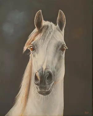 Marzena Zuk - Imagination