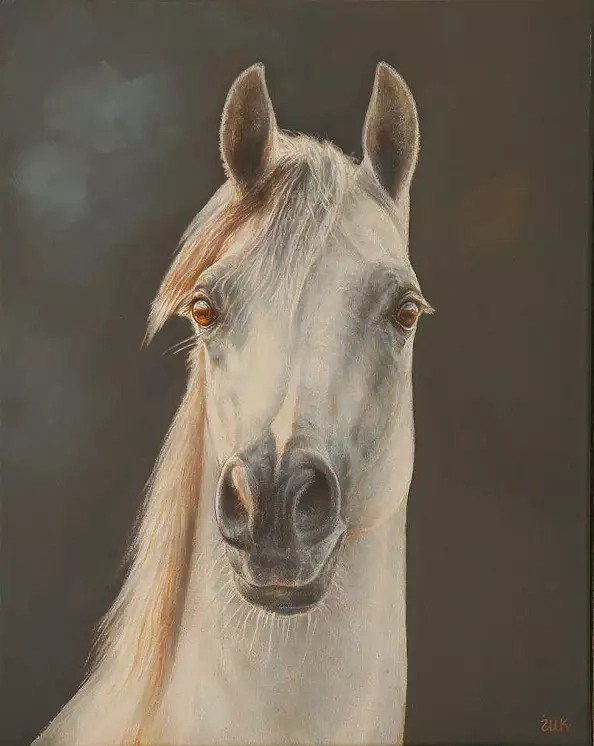 Marzena Zuk - Imagination